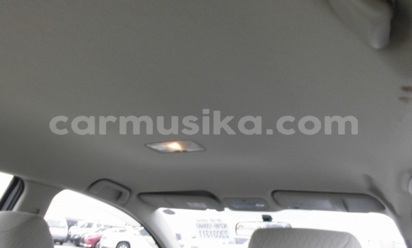 Buy Used Toyota Belta Other Car in Beitbridge in Matabeleland South Buy Used Toyota Belta Other Car in Beitbridge in Matabeleland South