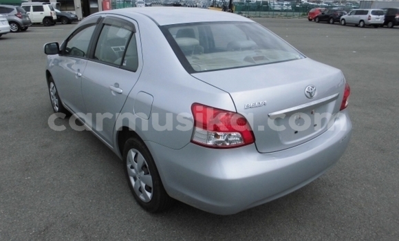 Buy Used Toyota Belta Other Car in Beitbridge in Matabeleland South Buy Used Toyota Belta Other Car in Beitbridge in Matabeleland South