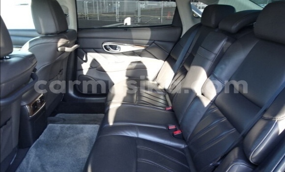 Tenga Tsaru Nissan Cima Nhema Mota in Beitbridge in Matabeleland South Tenga Tsaru Nissan Cima Nhema Mota in Beitbridge in Matabeleland South