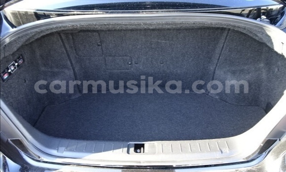 Tenga Tsaru Nissan Cima Nhema Mota in Beitbridge in Matabeleland South Tenga Tsaru Nissan Cima Nhema Mota in Beitbridge in Matabeleland South