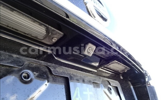 Tenga Tsaru Nissan Cima Nhema Mota in Beitbridge in Matabeleland South Tenga Tsaru Nissan Cima Nhema Mota in Beitbridge in Matabeleland South