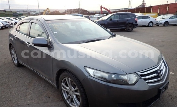 Tenga Tsaru Honda Accord Zvimwe Mota in Beitbridge in Matabeleland South Tenga Tsaru Honda Accord Zvimwe Mota in Beitbridge in Matabeleland South