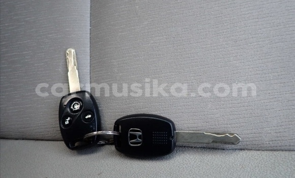 Tenga Tsaru Honda Accord Zvimwe Mota in Beitbridge in Matabeleland South Tenga Tsaru Honda Accord Zvimwe Mota in Beitbridge in Matabeleland South