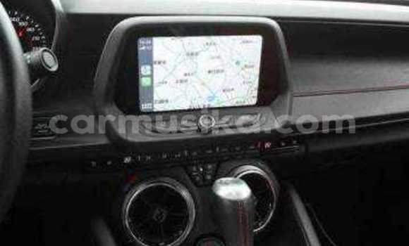 Tenga Tsaru Chevrolet Camaro Nhema Mota in Beitbridge in Matabeleland South Tenga Tsaru Chevrolet Camaro Nhema Mota in Beitbridge in Matabeleland South