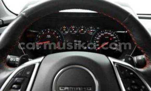 Tenga Tsaru Chevrolet Camaro Nhema Mota in Beitbridge in Matabeleland South Tenga Tsaru Chevrolet Camaro Nhema Mota in Beitbridge in Matabeleland South