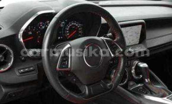 Tenga Tsaru Chevrolet Camaro Nhema Mota in Beitbridge in Matabeleland South Tenga Tsaru Chevrolet Camaro Nhema Mota in Beitbridge in Matabeleland South