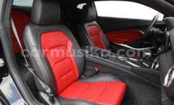 Tenga Tsaru Chevrolet Camaro Nhema Mota in Beitbridge in Matabeleland South Tenga Tsaru Chevrolet Camaro Nhema Mota in Beitbridge in Matabeleland South