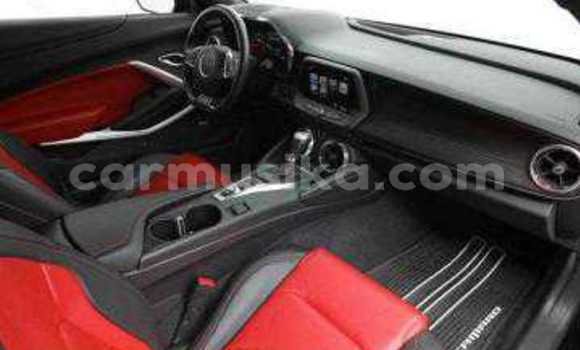 Tenga Tsaru Chevrolet Camaro Nhema Mota in Beitbridge in Matabeleland South Tenga Tsaru Chevrolet Camaro Nhema Mota in Beitbridge in Matabeleland South