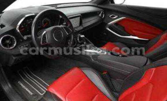 Tenga Tsaru Chevrolet Camaro Nhema Mota in Beitbridge in Matabeleland South Tenga Tsaru Chevrolet Camaro Nhema Mota in Beitbridge in Matabeleland South