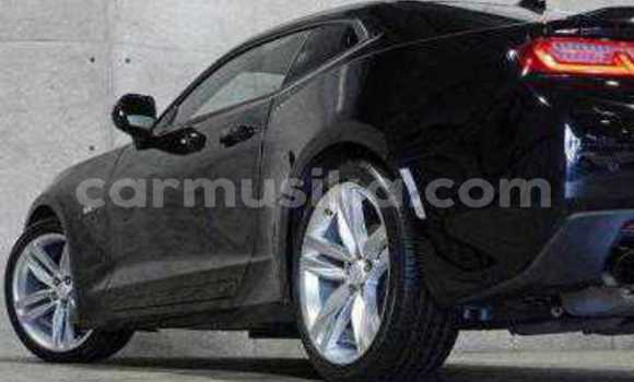 Tenga Tsaru Chevrolet Camaro Nhema Mota in Beitbridge in Matabeleland South Tenga Tsaru Chevrolet Camaro Nhema Mota in Beitbridge in Matabeleland South