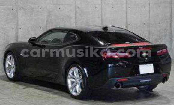 Tenga Tsaru Chevrolet Camaro Nhema Mota in Beitbridge in Matabeleland South Tenga Tsaru Chevrolet Camaro Nhema Mota in Beitbridge in Matabeleland South