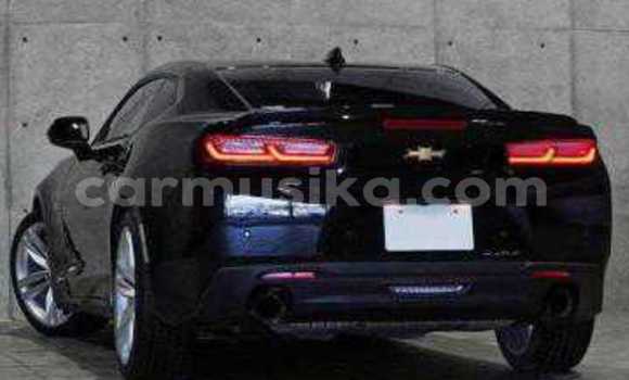 Tenga Tsaru Chevrolet Camaro Nhema Mota in Beitbridge in Matabeleland South Tenga Tsaru Chevrolet Camaro Nhema Mota in Beitbridge in Matabeleland South