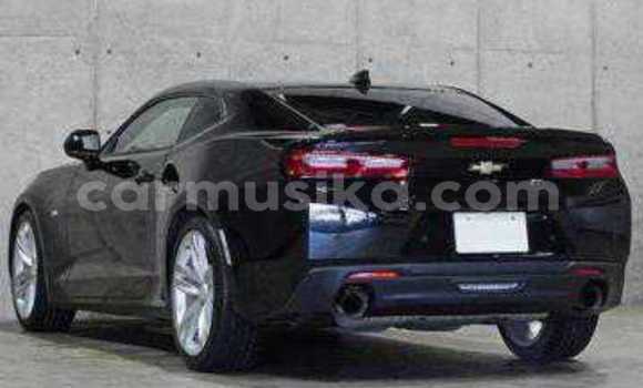 Tenga Tsaru Chevrolet Camaro Nhema Mota in Beitbridge in Matabeleland South Tenga Tsaru Chevrolet Camaro Nhema Mota in Beitbridge in Matabeleland South