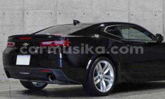 Tenga Tsaru Chevrolet Camaro Nhema Mota in Beitbridge in Matabeleland South Tenga Tsaru Chevrolet Camaro Nhema Mota in Beitbridge in Matabeleland South