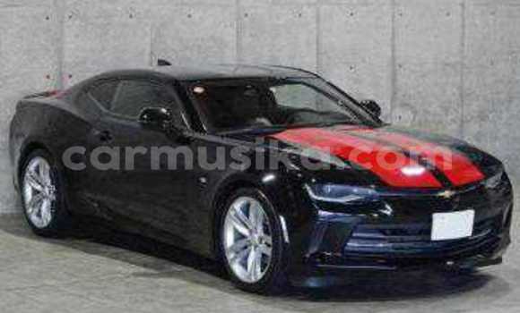 Tenga Tsaru Chevrolet Camaro Nhema Mota in Beitbridge in Matabeleland South Tenga Tsaru Chevrolet Camaro Nhema Mota in Beitbridge in Matabeleland South