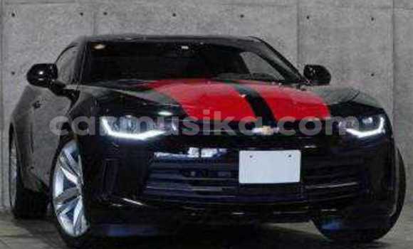 Tenga Tsaru Chevrolet Camaro Nhema Mota in Beitbridge in Matabeleland South Tenga Tsaru Chevrolet Camaro Nhema Mota in Beitbridge in Matabeleland South