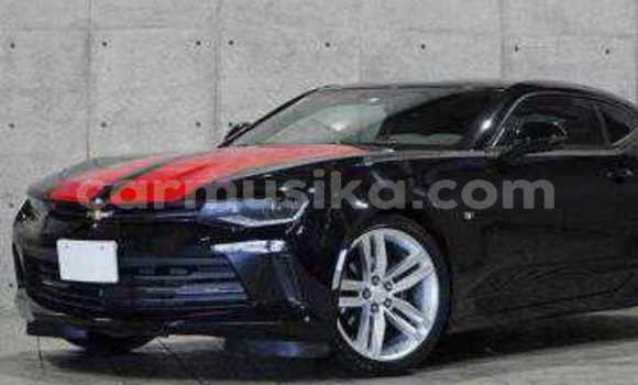 Tenga Tsaru Chevrolet Camaro Nhema Mota in Beitbridge in Matabeleland South Tenga Tsaru Chevrolet Camaro Nhema Mota in Beitbridge in Matabeleland South