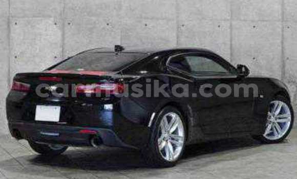 Tenga Tsaru Chevrolet Camaro Nhema Mota in Beitbridge in Matabeleland South Tenga Tsaru Chevrolet Camaro Nhema Mota in Beitbridge in Matabeleland South