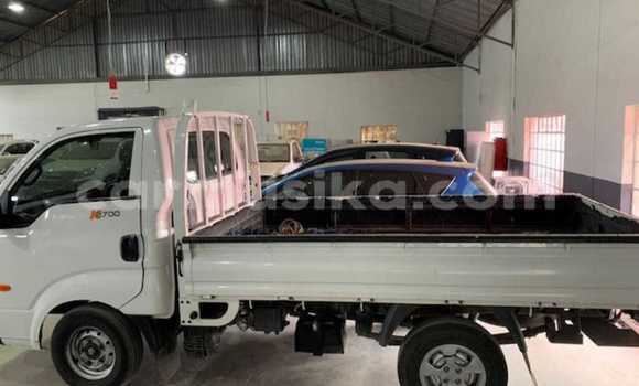 Buy Used Kia K2700 White Truck in Beitbridge in Matabeleland South Buy Used Kia K2700 White Truck in Beitbridge in Matabeleland South
