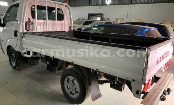 Buy Used Kia K2700 White Truck in Beitbridge in Matabeleland South Buy Used Kia K2700 White Truck in Beitbridge in Matabeleland South