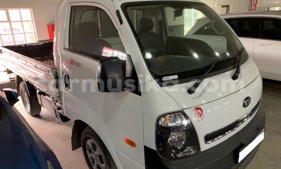Buy Used Kia K2700 White Truck in Beitbridge in Matabeleland South Buy Used Kia K2700 White Truck in Beitbridge in Matabeleland South