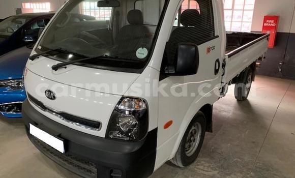 Buy Used Kia K2700 White Truck in Beitbridge in Matabeleland South Buy Used Kia K2700 White Truck in Beitbridge in Matabeleland South