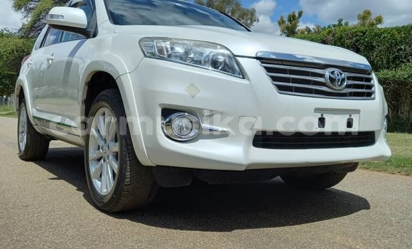 Buy Used Toyota Vanguard White Car in Harare in Harare