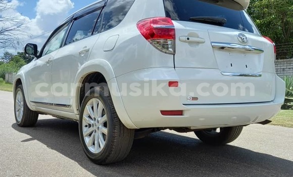 Tenga Tsaru Toyota Vanguard Chena Mota in Harare in Harare Tenga Tsaru Toyota Vanguard Chena Mota in Harare in Harare