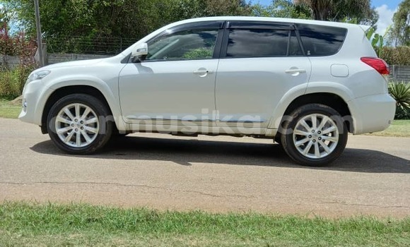 Tenga Tsaru Toyota Vanguard Chena Mota in Harare in Harare Tenga Tsaru Toyota Vanguard Chena Mota in Harare in Harare