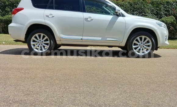 Tenga Tsaru Toyota Vanguard Chena Mota in Harare in Harare Tenga Tsaru Toyota Vanguard Chena Mota in Harare in Harare