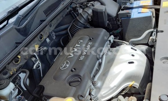 Tenga Tsaru Toyota Vanguard Chena Mota in Harare in Harare Tenga Tsaru Toyota Vanguard Chena Mota in Harare in Harare