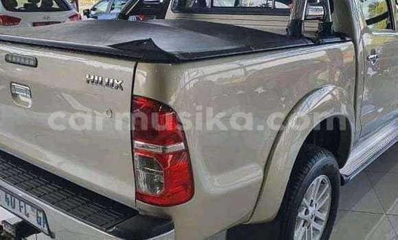 Acheter Occasion Voiture Toyota Hilux Marron à Beitbridge, Matabeleland South Acheter Occasion Voiture Toyota Hilux Marron à Beitbridge, Matabeleland South
