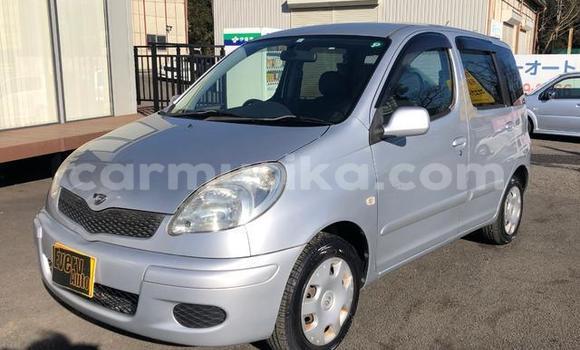 Acheter Occasion Voiture Toyota FunCargo Gris à Beitbridge, Matabeleland South Acheter Occasion Voiture Toyota FunCargo Gris à Beitbridge, Matabeleland South