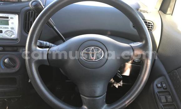 Acheter Occasion Voiture Toyota FunCargo Gris à Beitbridge, Matabeleland South Acheter Occasion Voiture Toyota FunCargo Gris à Beitbridge, Matabeleland South