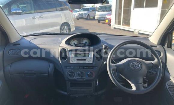 Acheter Occasion Voiture Toyota FunCargo Gris à Beitbridge, Matabeleland South Acheter Occasion Voiture Toyota FunCargo Gris à Beitbridge, Matabeleland South