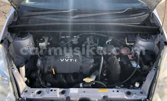 Acheter Occasion Voiture Toyota FunCargo Gris à Beitbridge, Matabeleland South Acheter Occasion Voiture Toyota FunCargo Gris à Beitbridge, Matabeleland South