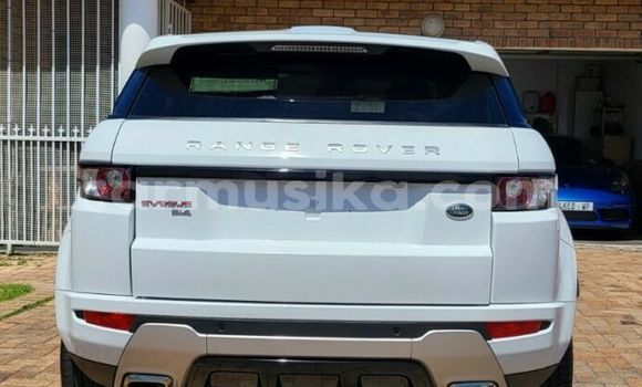 Tenga Tsaru Range Rover Evoque Chena Mota in Beitbridge in Matabeleland South Tenga Tsaru Range Rover Evoque Chena Mota in Beitbridge in Matabeleland South