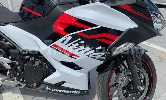 Acheter Occasion Moto Kawasaki Ninja Autre à Beitbridge, Matabeleland South Acheter Occasion Moto Kawasaki Ninja Autre à Beitbridge, Matabeleland South