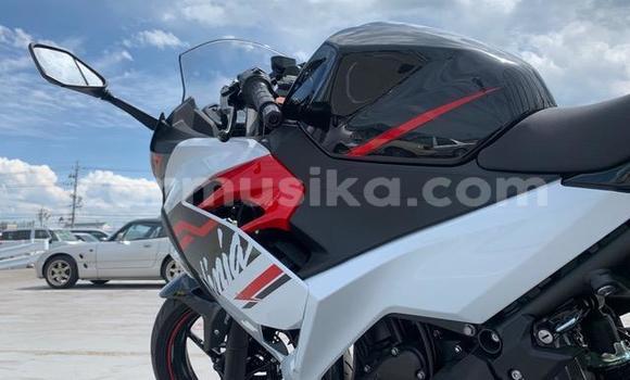 Acheter Occasion Moto Kawasaki Ninja Autre à Beitbridge, Matabeleland South Acheter Occasion Moto Kawasaki Ninja Autre à Beitbridge, Matabeleland South