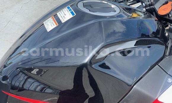 Acheter Occasion Moto Kawasaki Ninja Autre à Beitbridge, Matabeleland South Acheter Occasion Moto Kawasaki Ninja Autre à Beitbridge, Matabeleland South