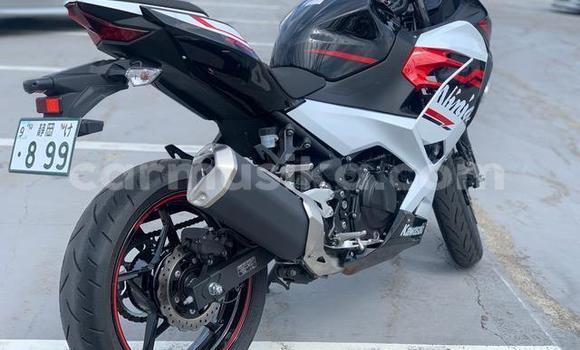 Acheter Occasion Moto Kawasaki Ninja Autre à Beitbridge, Matabeleland South Acheter Occasion Moto Kawasaki Ninja Autre à Beitbridge, Matabeleland South