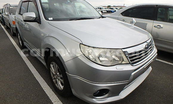 Buy Used Subaru Forester Silver Car in Beitbridge in Matabeleland South