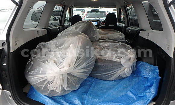 Tenga Tsaru Subaru Forester Sirivha Mota in Beitbridge in Matabeleland South Tenga Tsaru Subaru Forester Sirivha Mota in Beitbridge in Matabeleland South