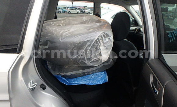 Tenga Tsaru Subaru Forester Sirivha Mota in Beitbridge in Matabeleland South Tenga Tsaru Subaru Forester Sirivha Mota in Beitbridge in Matabeleland South