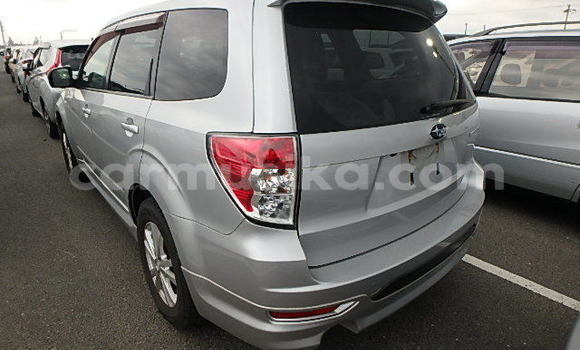 Tenga Tsaru Subaru Forester Sirivha Mota in Beitbridge in Matabeleland South Tenga Tsaru Subaru Forester Sirivha Mota in Beitbridge in Matabeleland South