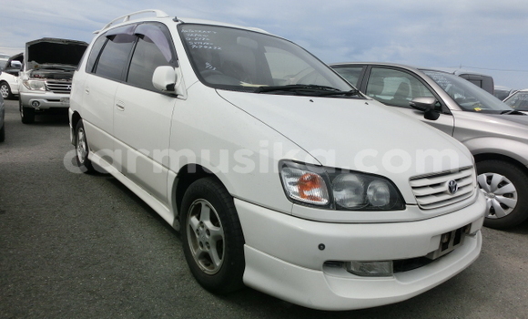 Tenga Tsaru Toyota Ipsum Chena Mota in Beitbridge in Matabeleland South