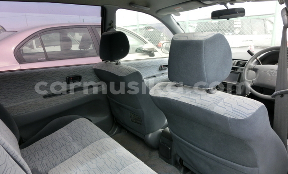 Nunua Ilio tumika Toyota Ipsum Nyeupe Gari ndani ya Beitbridge nchini Matabeleland Kusini Nunua Ilio tumika Toyota Ipsum Nyeupe Gari ndani ya Beitbridge nchini Matabeleland Kusini