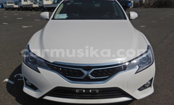 Tenga Tsaru Toyota Mark X Chena Mota in Beitbridge in Matabeleland South