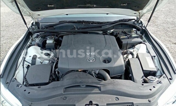 Acheter Occasion Voiture Toyota Mark X Blanc à Beitbridge, Matabeleland South Acheter Occasion Voiture Toyota Mark X Blanc à Beitbridge, Matabeleland South