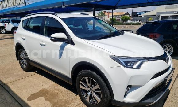 Tenga Tsaru Toyota RAV4 Chena Mota in Beitbridge in Matabeleland South